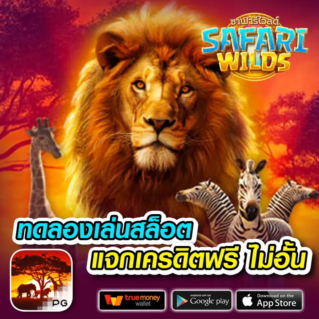 ทางเข้า mkp win 24 h